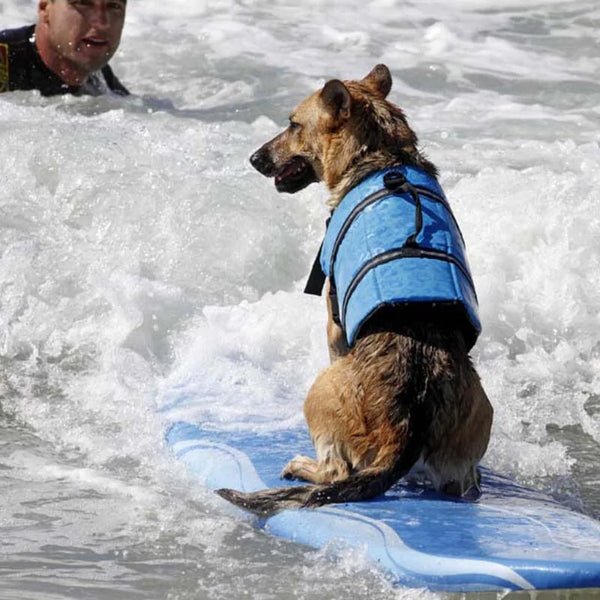 Dog Life Vest - tuttostyle4u
