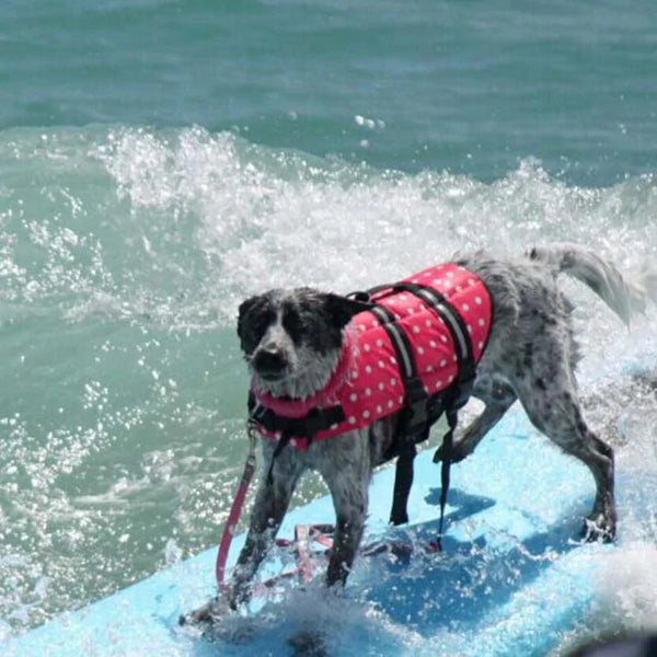 Dog Life Vest - tuttostyle4u