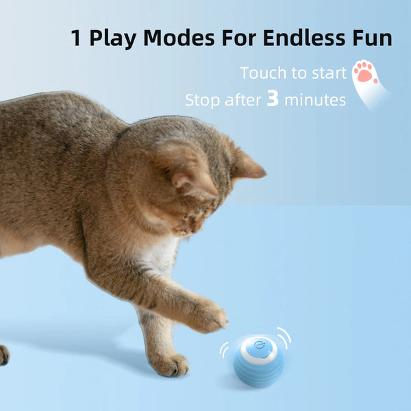 Electric Cat Ball Toys - tuttostyle4u