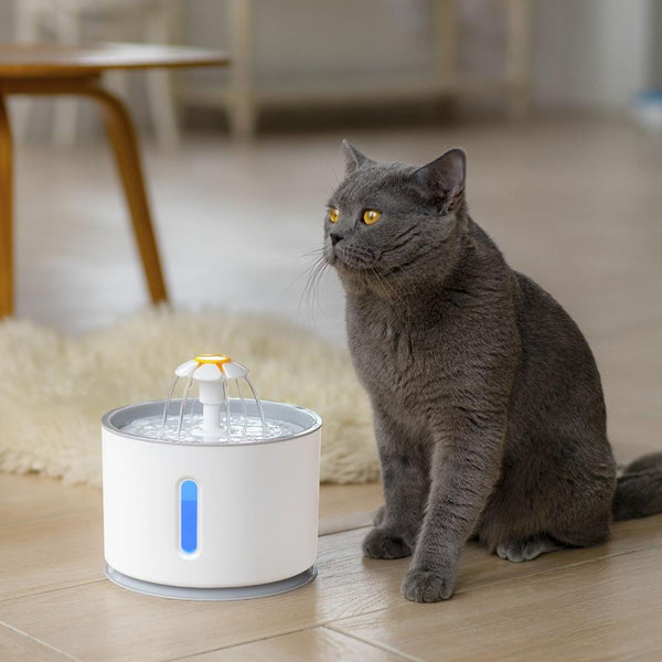 Automatic Pet Cat Water Fountain with LED Lighting 5 Pack Filters 2.4L USB Dogs Cats Mute Drinker Feeder Bowl Drinking Dispenser - tuttostyle4u