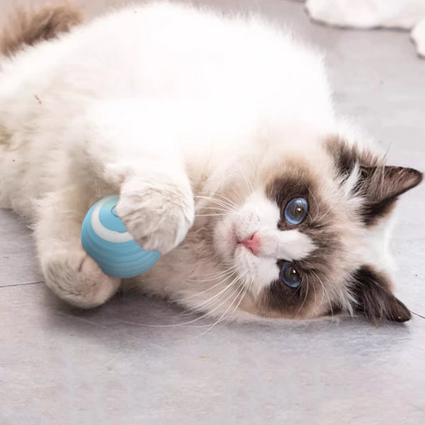 Electric Cat Ball Toys - tuttostyle4u