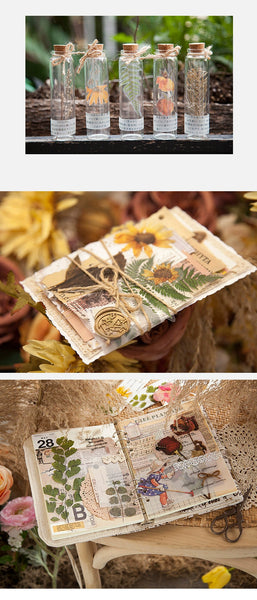 Floral & Plants transparent stickers  ideal for your scrapbooking projects, notebook, planners. - tuttostyle4u