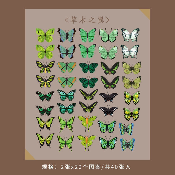 44745770500339