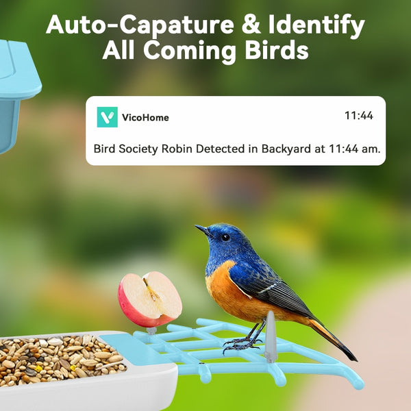 Smart Bird Feeder with Camera, Bird Watching Camera, Auto Capture Bird Videos & Motion Detection - tuttostyle4u