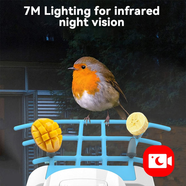 Smart Bird Feeder with Camera, Bird Watching Camera, Auto Capture Bird Videos & Motion Detection - tuttostyle4u