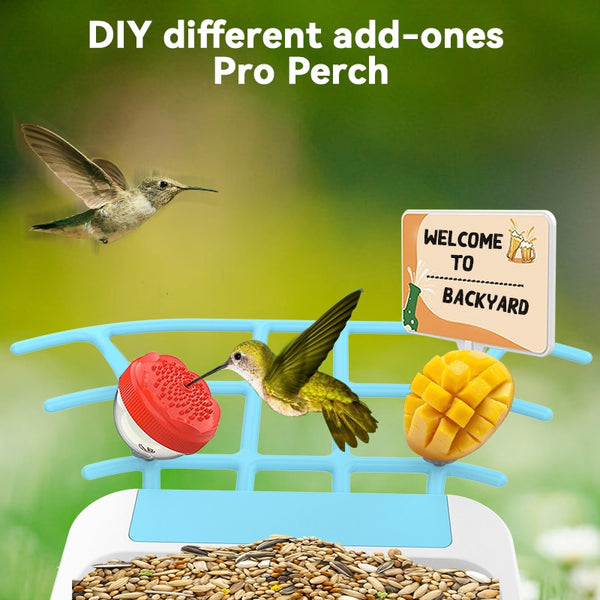 Smart Bird Feeder with Camera, Bird Watching Camera, Auto Capture Bird Videos & Motion Detection - tuttostyle4u