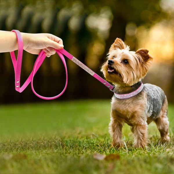 Pet Collar Leash Set - tuttostyle4u