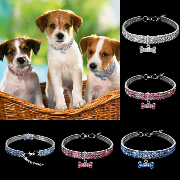 Pet Collar Blind - tuttostyle4u