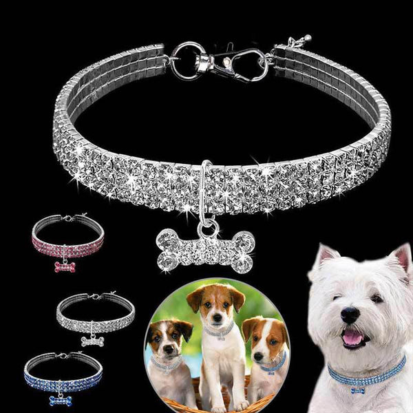 Pet Collar Blind - tuttostyle4u