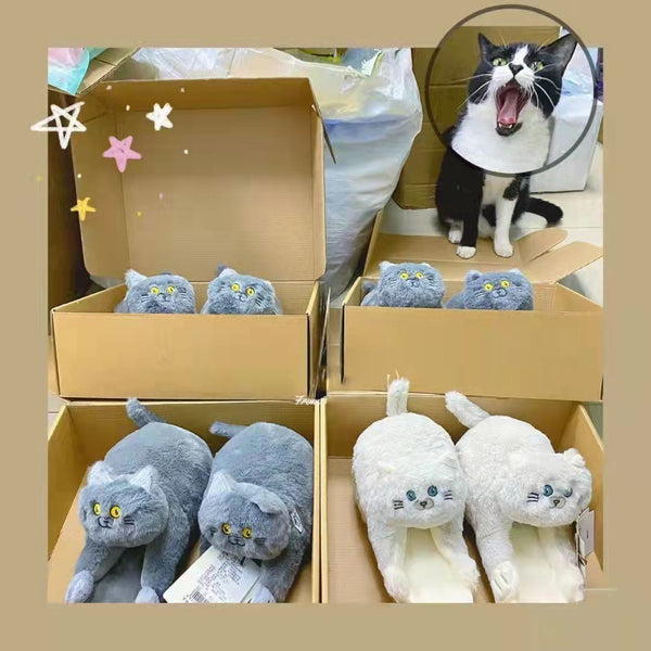 Cuddly Hug Cat Slippers - tuttostyle4u