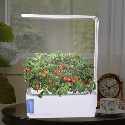 Smart Indoor Hydroponics Garden Kit, Herbs, Fruit, Growing System, led light - tuttostyle4u