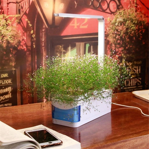 Smart Indoor Hydroponics Garden Kit, Herbs, Fruit, Growing System, led light - tuttostyle4u