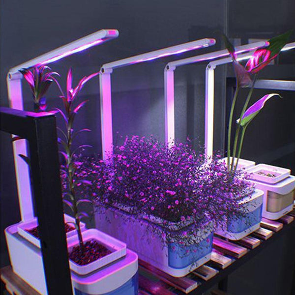 Smart Indoor Hydroponics Garden Kit, Herbs, Fruit, Growing System, led light - tuttostyle4u