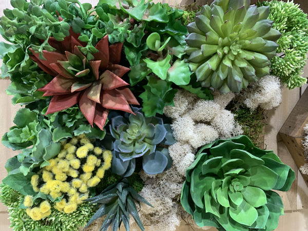 Wall Succulents Square - tuttostyle4u